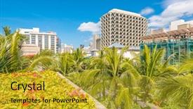  Presentation with green roof - PPT layouts enhanced with green roof - palm trees and building tops background and a  colored foreground