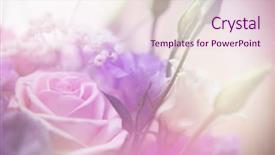  Presentation with color - PPT theme having green rose - beautiful flowers made with color background and a lemonade colored foreground