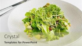  Presentation with green plate - PPT theme enhanced with green-salad-on-the-white background and a yellow colored foreground