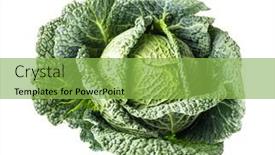  Presentation with cabbage - Amazing PPT layouts having green-savoy-cabbage-isolated backdrop and a seafoam green colored foreground