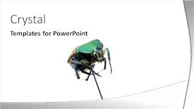  Presentation with scarab beetle - Beautiful presentation featuring green-scarab-beetle-isolated backdrop and a white colored foreground