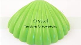  Presentation with sea shell - Colorful theme enhanced with green sea shell toy backdrop and a mint green colored foreground