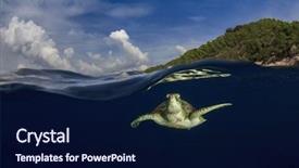  Presentation with paradise island - Cool new PPT layouts with green sea turtle and tropical backdrop and a navy blue colored foreground