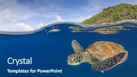  Presentation with paradise island - Audience pleasing presentation theme consisting of green sea turtle underwater backdrop and a ocean colored foreground