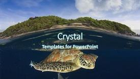  Presentation with paradise island - Presentation theme enhanced with green sea turtle underwater background and a navy blue colored foreground