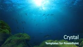  Presentation with green seaweed - Colorful PPT theme enhanced with green seaweed blue water backdrop and a ocean colored foreground