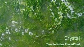  Presentation with tide - Beautiful PPT theme featuring green-seaweeds-tide-overgrowth-background backdrop and a tawny brown colored foreground