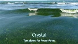  Presentation with tide - Presentation enhanced with green-seaweeds-tide-overgrowth background and a ocean colored foreground