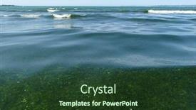  Presentation with tide - Audience pleasing PPT theme consisting of green-seaweeds-tide-overgrowth backdrop and a tawny brown colored foreground