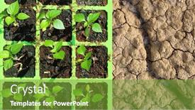  Presentation with seedling - Presentation theme consisting of green-seedling-box-with-young background and a tawny brown colored foreground