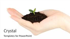  Presentation with seedling - Colorful presentation enhanced with growing from soil in hand backdrop and a pink colored foreground