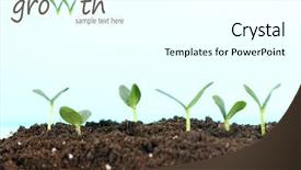  Presentation with seedling - Cool new PPT theme with green seedling growing from soil backdrop and a white colored foreground