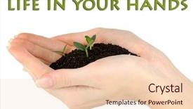  Presentation with seedling - Beautiful presentation featuring green-seedling-growing-from-soil backdrop and a lemonade colored foreground