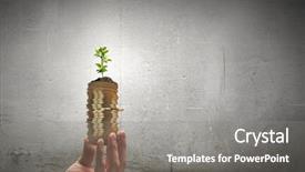  Presentation with hand holding puzzle piece - Presentation theme with green seedling growing pile coins - close up of human hand background and a  colored foreground