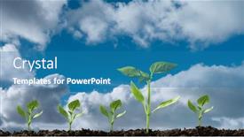  Presentation with seedling - Presentation consisting of green-seedling-growing and a teal colored foreground