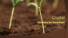  Presentation with seedling - 