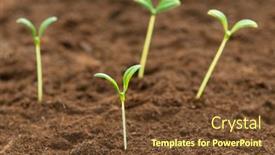  Presentation with seedling - 