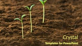  Presentation with seedling - 