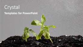  Presentation with soil water - Slide deck having green-seedlings-in-dark-soil background and a gray colored foreground