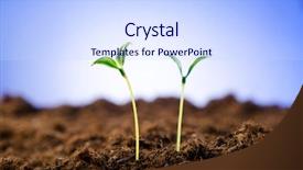  Presentation with new christian life - Colorful PPT layouts enhanced with green seedlings in new life backdrop and a sky blue colored foreground