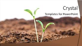  Presentation with new christian life - Colorful presentation enhanced with green seedlings in new life backdrop and a  colored foreground