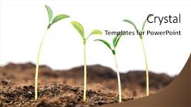  Presentation with green life - Presentation featuring green seedlings in new life background and a  colored foreground