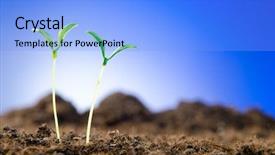  Presentation with green life - PPT layouts consisting of green-seedlings-in-new-life background and a light blue colored foreground