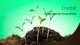  Presentation with green life - Slide deck consisting of green seedlings in new life concept background and a seafoam green colored foreground