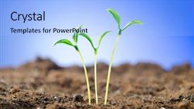 Presentation with green life - Slide deck featuring green seedlings in new life background and a light blue colored foreground