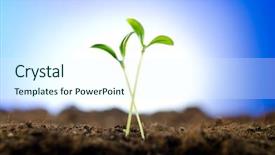 Presentation with beginnings - Beautiful PPT layouts featuring green seedlings in new life backdrop and a sky blue colored foreground