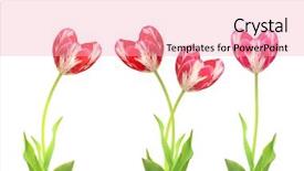  Presentation with tulips - Beautiful presentation theme featuring green shapes - set of heart shaped tulips backdrop and a lemonade colored foreground