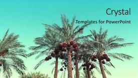  Presentation with blue gears engineering technology backdrop - Amazing presentation design having green silhouette - palm trees against the backdrop backdrop and a seafoam green colored foreground