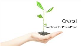  Presentation with new life baby plant - PPT layouts having green small plant new life background and a  colored foreground