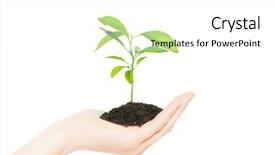 Presentation with hands holding - PPT layouts having green small plant new life background and a white colored foreground