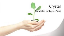  Presentation with new life baby plant - Colorful PPT layouts enhanced with green small plant new life backdrop and a  colored foreground