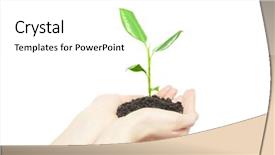  Presentation with holding hands - Audience pleasing slides consisting of green small plant new life backdrop and a  colored foreground