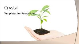  Presentation with green life - Theme enhanced with green small plant new life background and a  colored foreground