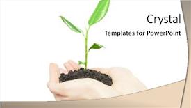  Presentation with new life baby plant - Beautiful slides featuring green small plant new life backdrop and a  colored foreground