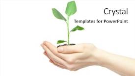  Presentation with holding hands - Cool new slides with green small plant new life backdrop and a white colored foreground