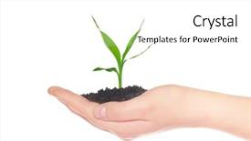  Presentation with new life baby plant - Slides with green small plant new life background and a  colored foreground