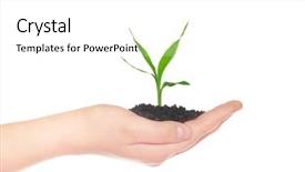  Presentation with new life baby plant - Presentation having green small plant new life background and a white colored foreground