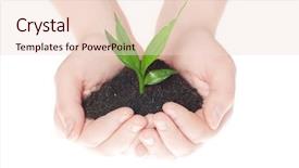  Presentation with new life baby plant - Beautiful presentation theme featuring green small plant new life backdrop and a lemonade colored foreground