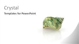  Presentation with snail - PPT theme with green snail to eat background and a white colored foreground
