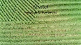  Presentation with soybean - Beautiful theme featuring green soybean fields in nebraska backdrop and a seafoam green colored foreground