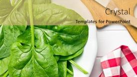  Presentation with green plate - 