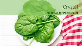 Presentation with green plate - 