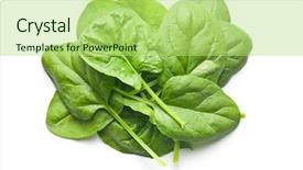  Presentation with spinach - Cool new slide deck with green spinach leaves on white backdrop and a mint green colored foreground