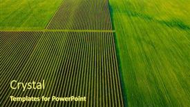  Presentation with blackcurrant - Amazing presentation theme having green-spring-field-with-row backdrop and a tawny brown colored foreground