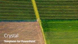  Presentation with blackcurrant - Colorful presentation enhanced with green-spring-field-with-row backdrop and a coral colored foreground