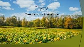  Presentation with green earth - PPT theme enhanced with green-spring-field-with-yellow background and a light blue colored foreground